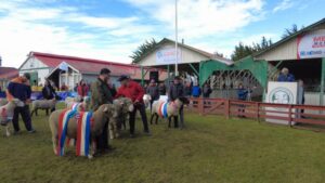 La 70a Feria Expogama concluyó ayer  en una jornada llena de sol y entretención
