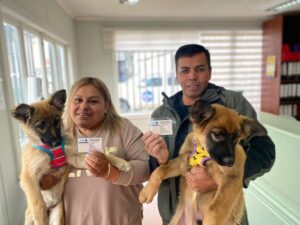 Alcalde Radonich anuncia nuevo servicio de atención primaria de mascotas