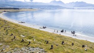 Argentinos realizaron adiestramiento naval en aguas del Beagle