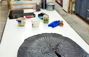 Artista chileno fusiona ciencia y arte con innovador proyecto