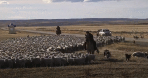“Secretos de la Pampa Patagónica” en redes sociales