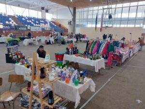 Como exitosa fue catalogada la feria de emprendedores de Punta Arenas