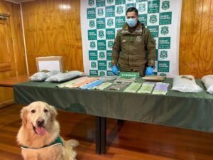 OS7 de Carabineros logró importante decomiso de droga que venía por encomienda