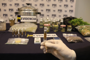 Primera vez en Magallanes: Incautan dosis de droga DMT conocida como “la molécula de Dios”