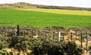 Contribuciones de predios agrícolas aumentaron más de 23% en promedio