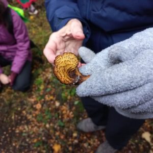 Vecinos de Puerto Williams participaron de exploración comunitaria de hongos