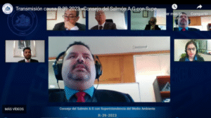 Salmoneros denuncian exclusión de la SMA