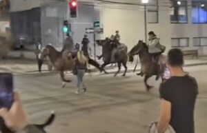 Interpondrán denuncia por maltrato animal y desórdenes tras carrera a la chilena