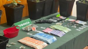 Formalizan a pareja que tenían plantación de marihuana, cocaína y dinero en efectivo