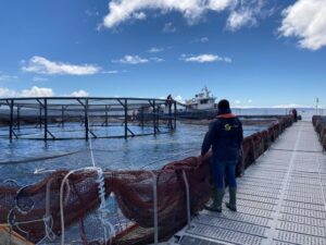 Sernapesca defendió criticado convenio con la ONG Oceana