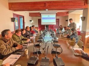 Fiscal preferente investigará las carreras clandestinas