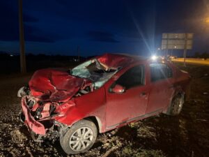 Caballo muere tras ser impactado por vehículo y provocar colisión en ruta