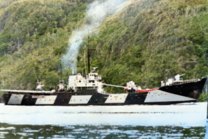 “AP 45 Piloto Pardo” y los náufragos del “ARA Belgrano”