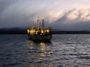 Armada fiscaliza a embarcaciones chinas en el Estrecho de Magallanes
