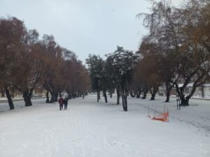 Ganaderos locales tras la nevazón: “A la nieve, buena cara”