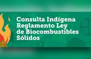 Alistan consulta indígena para reglamento de la Ley de Biocombustibles Sólidos