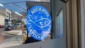 El próximo domingo termina postulación a “Sello Azul” del Servicio Nacional de Pesca