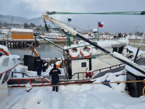 Instruyen para fiscalizar extracción de la centolla