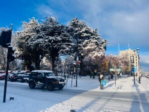 Estado de emergencia y anuncian ola polar