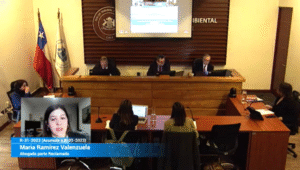 Expusieron alegatos para dejar sin efecto resolución de Comisión de Evaluación Ambiental