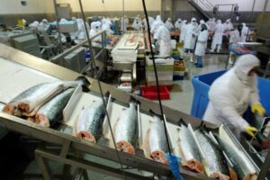 Aquachile alcanzó récord de inversión local en comunidades del sur durante 2023
