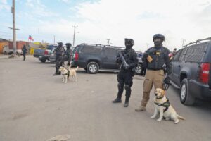 Las claves de la ola de crímenes que golpearon al país según exautoridades locales