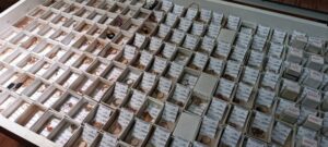 “Tía Rica” anuncia nuevo remate de más de 200 lotes de alhajas y objetos varios