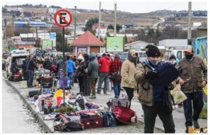 Agrupación de Feriantes de “La Lorca” denuncian ataques de perros abandonados