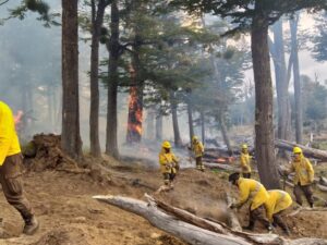 Conaf abordará en seminario el impacto de los incendios forestales en la Patagonia