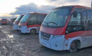 Buses eléctricos estarían operativos a fines de 2025