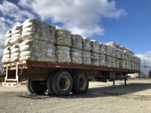 ProChile destacó reactivación de envíos de lana ovina desde Magallanes a China