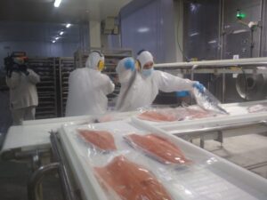 Caída de exportaciones acuícolas golpea duramente al empleo de la actividad