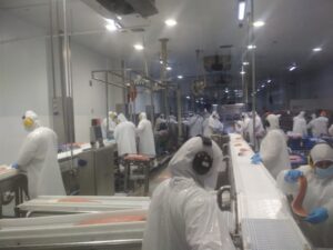 Advierten pérdida de competitividad de la industria acuícola en Magallanes