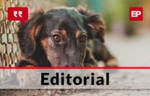Indignación por maltrato animal