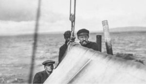 Invitan a exposición que explora la Tierra del Fuego
