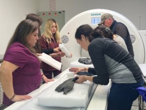 Clínica IMET colabora en la conservación de Fiona, la ictiosauria del Glaciar Tyndall