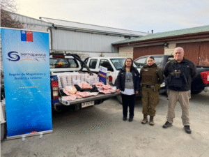 Decomisan casi una tonelada de productos marinos
