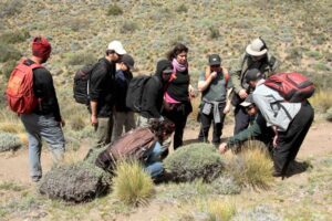 Lanzan curso gratuito sobre Ruta de los Parques de la Patagonia