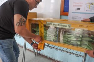 44.32% del padrón electoral de  Magallanes sufragó el sábado