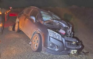 Accidente dejó a conductor con riesgo vital tras estrellarse contra guanaco