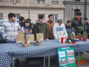 Intervención urbana por la educación diferencial