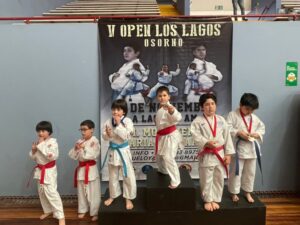 El club deportivo Kenshokan marcó presencia con buenos resultados en el  5° Open de Los Lagos