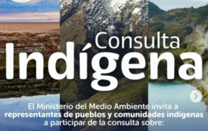 Se reactiva consulta indígena para los planes de manejo  de áreas protegidas Kawésqar