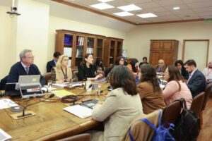 Comisión recomienda suspender tratamientos hormonales en niños y adolescentes trans