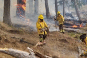 Autoridades en alerta ante probabilidad de ocurrencia de incendios forestales