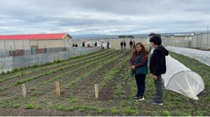 Innovadora técnica implementan agricultores para recuperar tierra fértil
