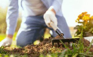 Taller de horticultura se realiza hoy en Punta Arenas