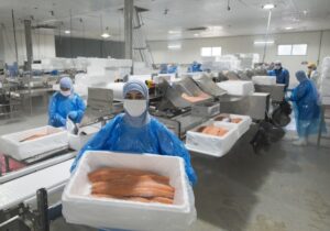 Salmonicultura al alza: crece  percepción positiva de la industria