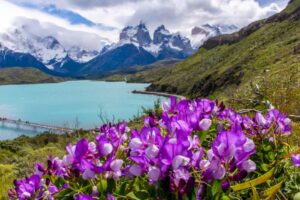 Estudio desnuda fortalezas y debilidades del parque nacional Torres del Paine