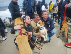 Mascotas protagonistas  de “La costanera es tuya”